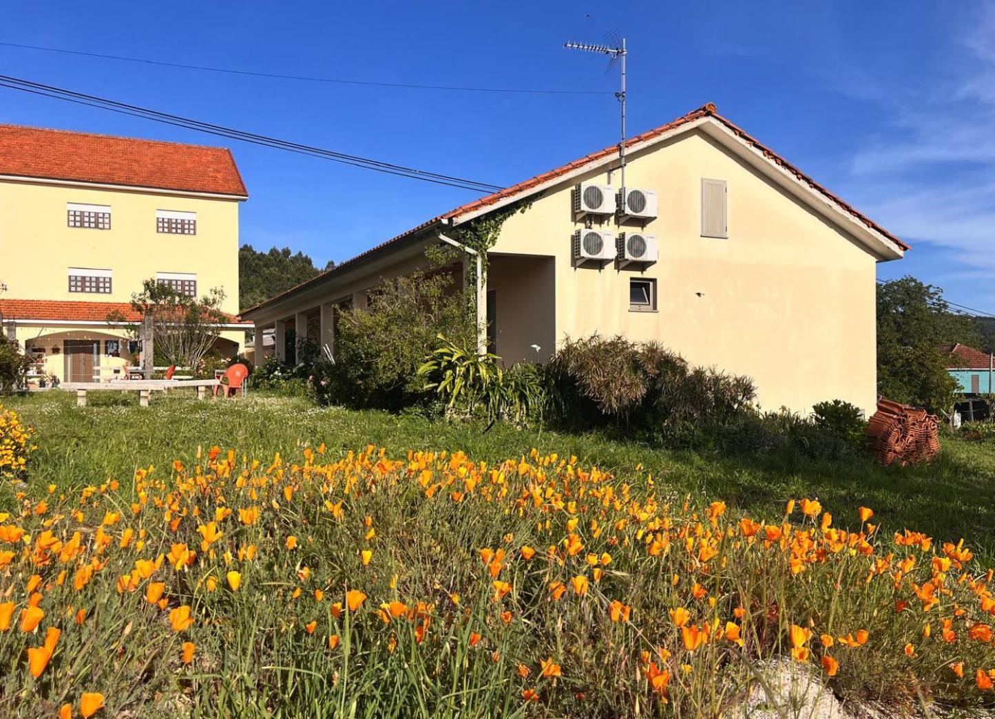 Pensao Repouso Do Peregrino Hotel Paredes de Coura Eksteriør billede